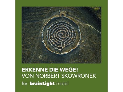 Erkenne die Wege