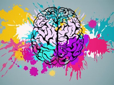 Bachelorarbeiten am Bender Institute of Neuroimaging